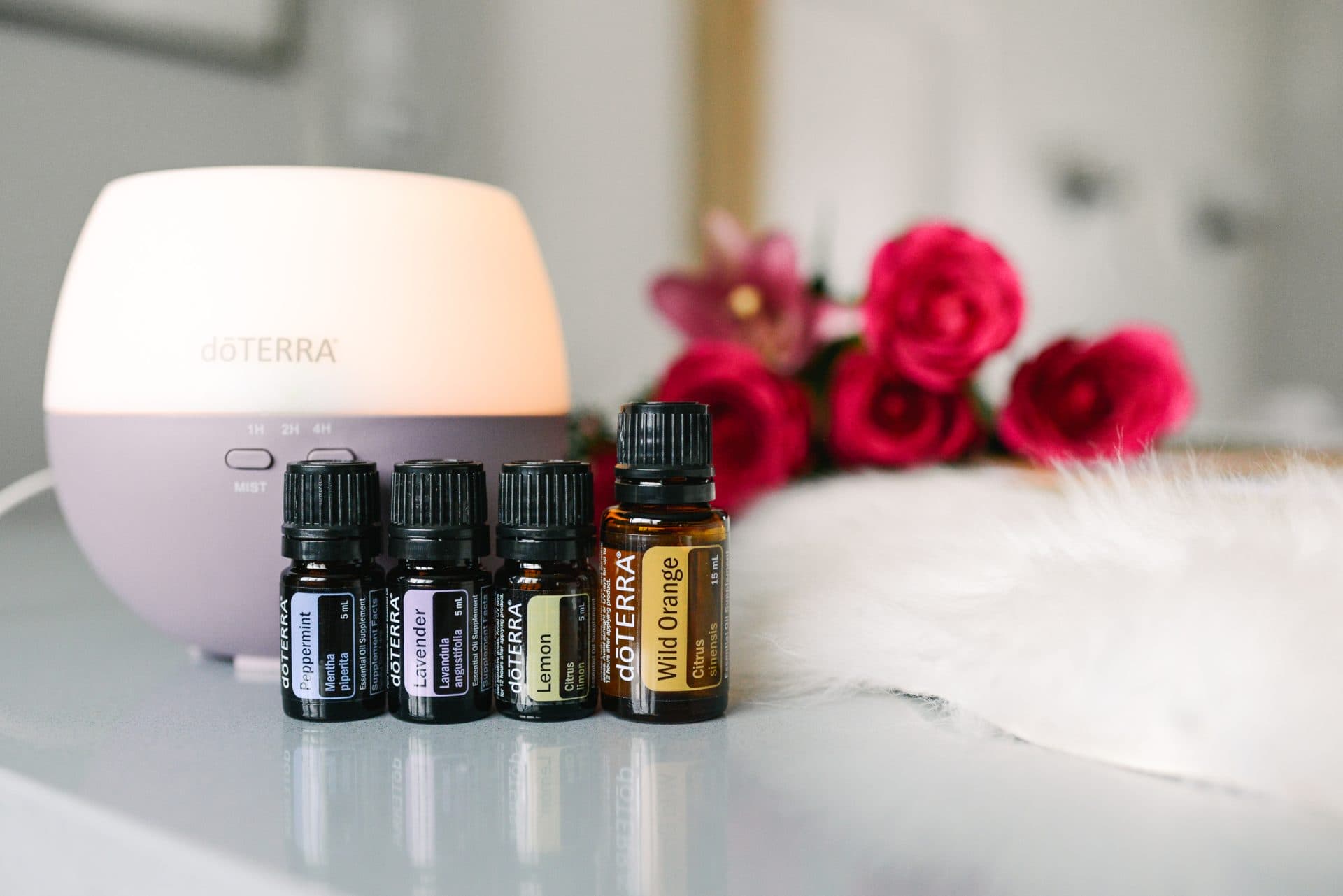 HaleyNordPhotography 9 of 107