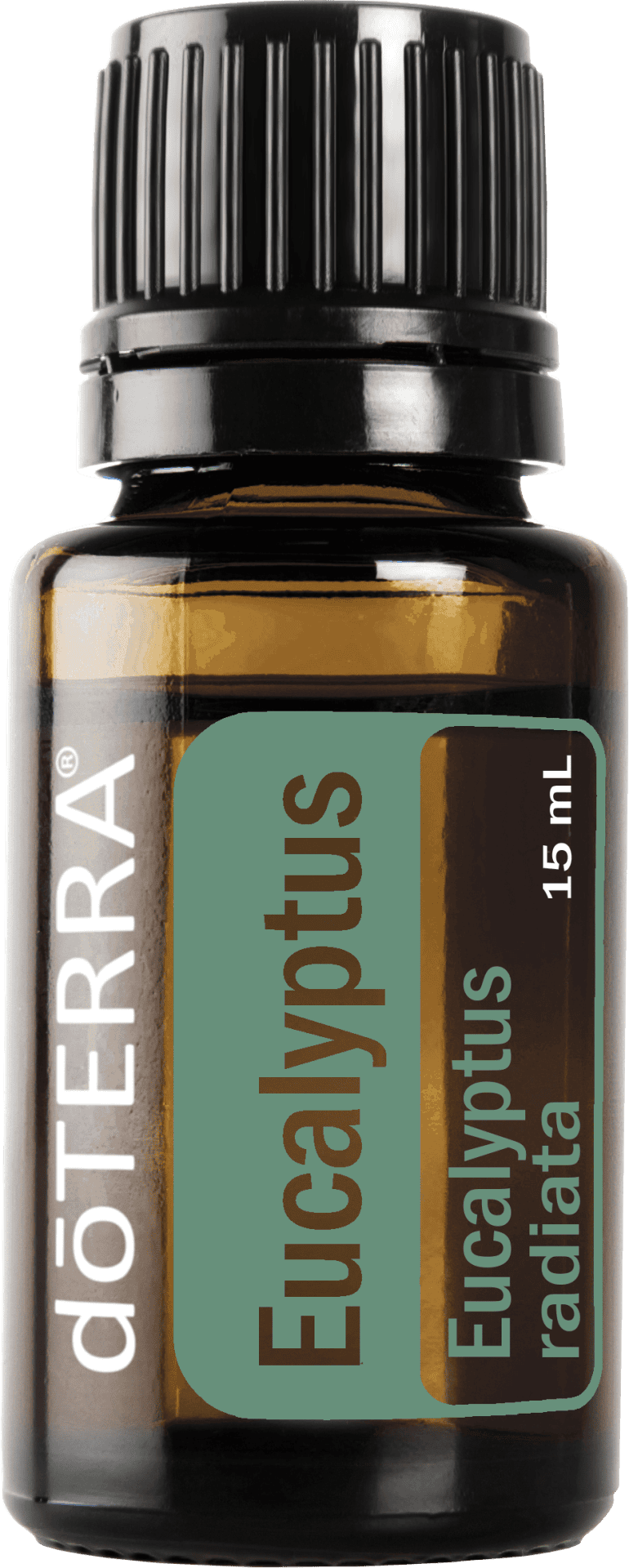 doTERRA 15 mL Eucalyptus essential oil for respiratory and breathing kimberley milousis empowered living doTERRA essential oils for a life of abundance