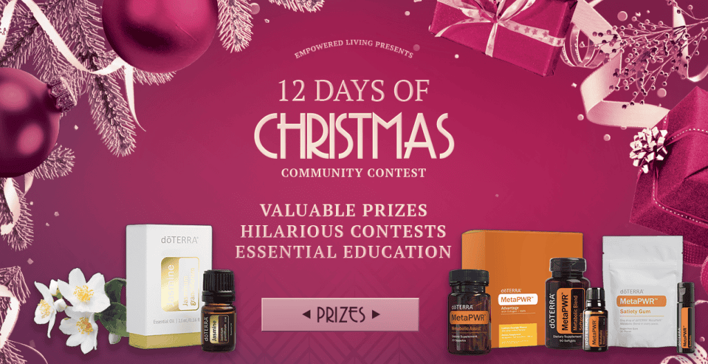 12 Days of Christmas 2022 Grand Prize Promo