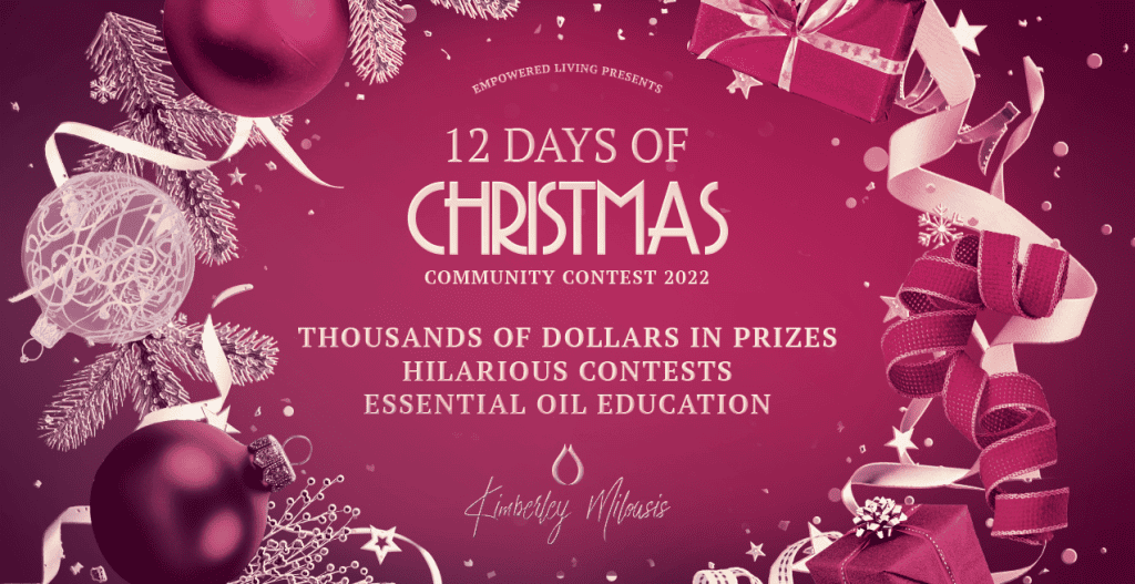 12 Days of Christmas Promotional Image 2022