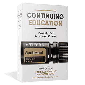 Continuing Education Program Box Mockup with shadow