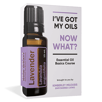 Now What Course Mockup with Shadow