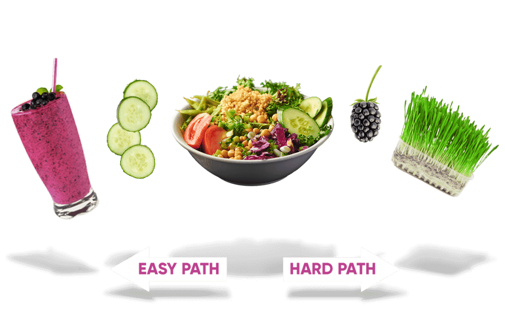 Fresh Start Cleanse food protocol