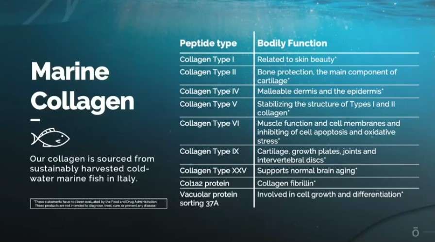metapwr advantage collagen