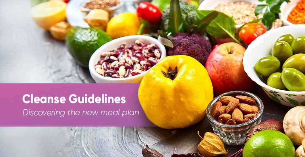 Food Protocol 1 Cleanse Guidelines v2