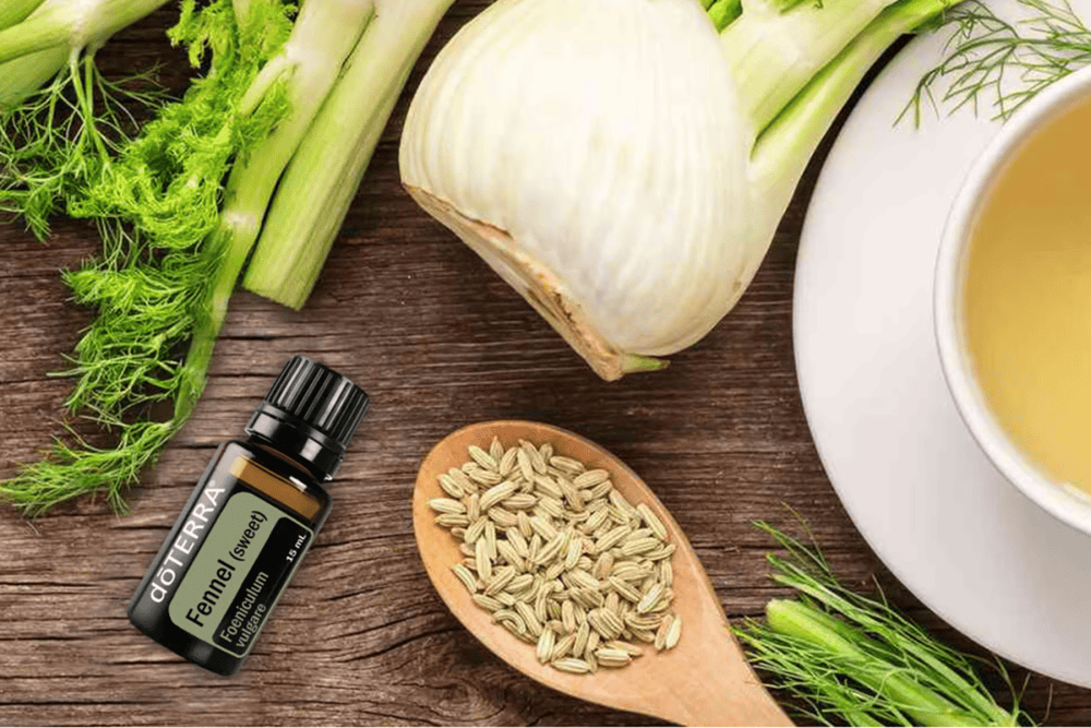 Can Fennel Fix Your Digestion?