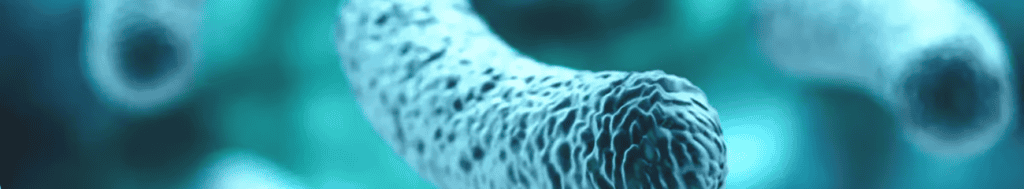 b8cfc832 f34a 4327 8f05 b3238b5c5768