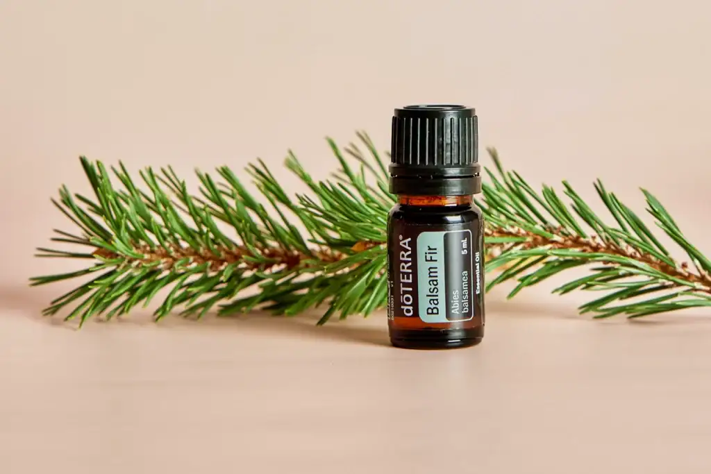 balsam fir essential oil