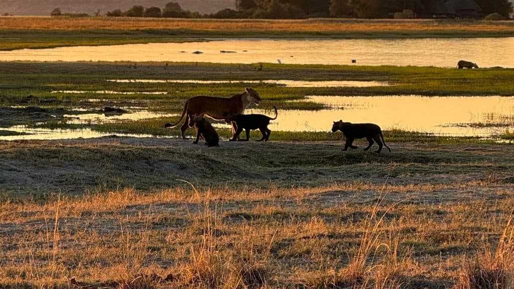 448224009 10159407079211148 4358916425018173669 n2