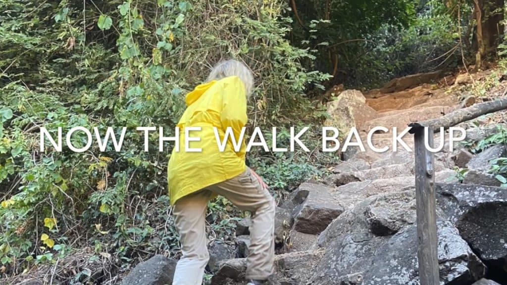 My Adventures in Africa - walk up