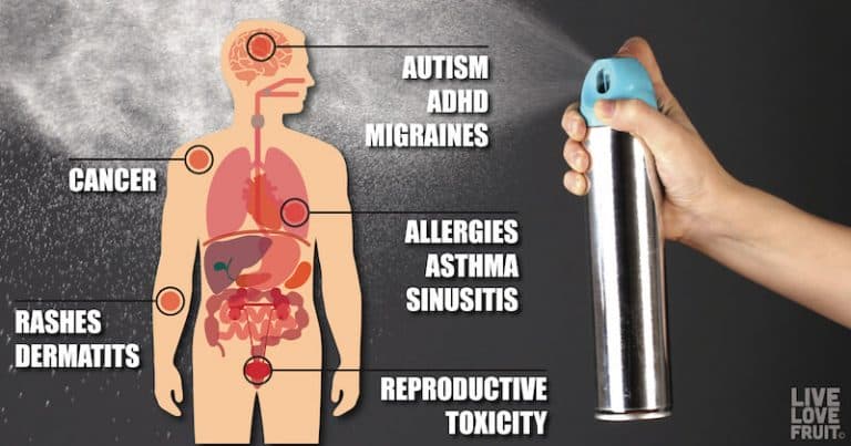 DANGERS SYNTHETIC SCENTS 01 768x403 2405936977