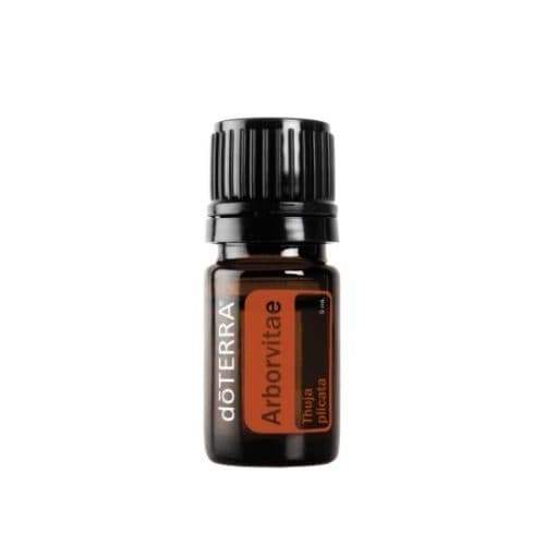 Arborvitae Essential Oil 5 mL