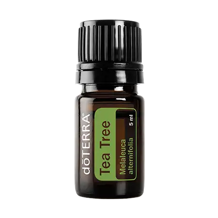 doterra tea tree essential oil 5mL discount purchase buy now