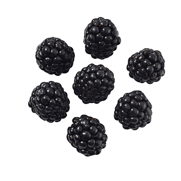 blackberries