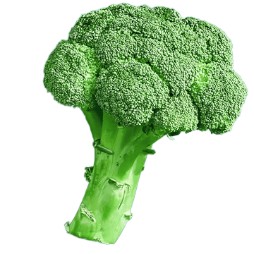 broccoli