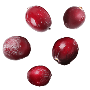 cranberries