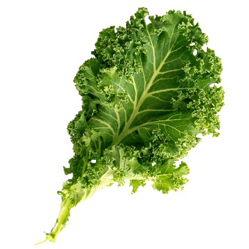 kale