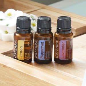 Profile photo of EL Builder