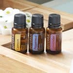 Profile photo of EL Builder